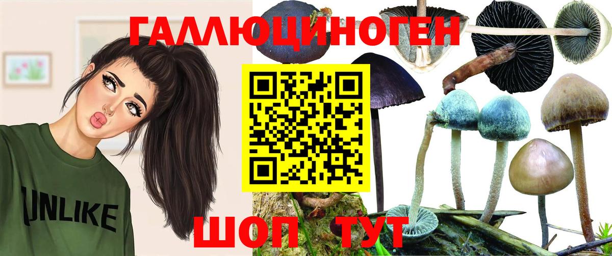 Ессентуки  Псилоцибиновые грибы GOLDEN TEACHER  Вход с VPN 