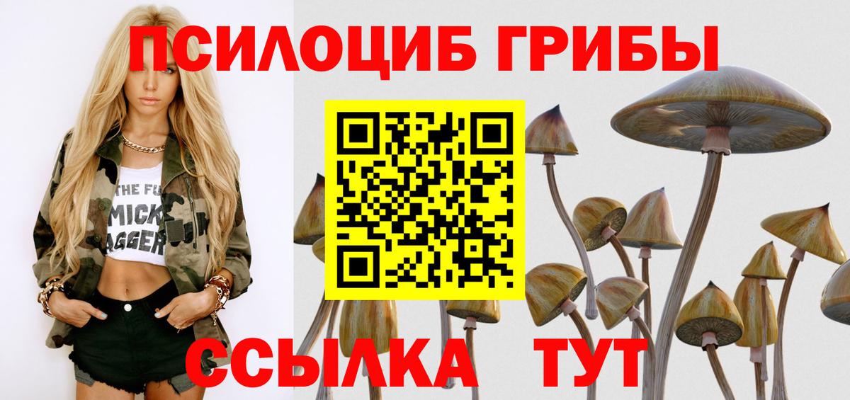 Псилоцибиновые грибы мицелий Ессентуки