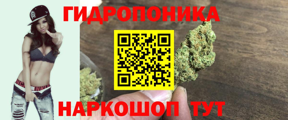 Лсд 25 Ессентуки