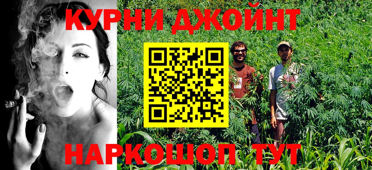 Ессентуки  Конопля OG Kush  Конопля OG Kush  Конопля семена  Марихуана семена  Вход с VPN 