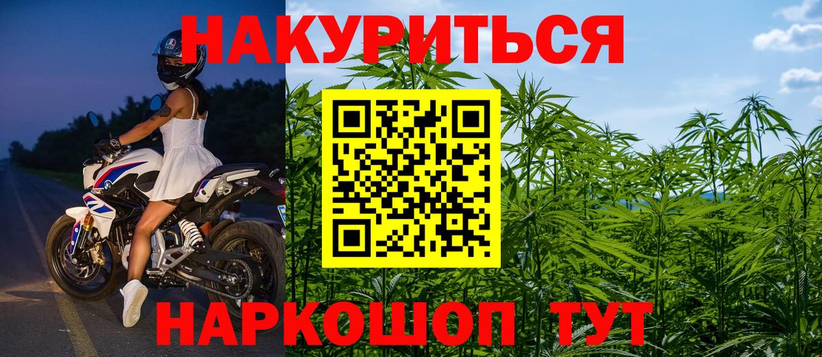 Марихуана индика Ессентуки